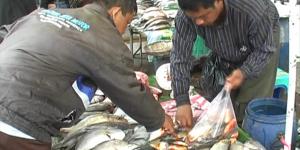 Pergantian Tahun, Pedagang Ikan Diburu Pembeli