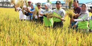 Dinas Pertanian Kampanyekan Tangerang Berkebun
