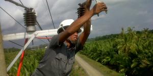 Mantap, Warga Ponorogo Bayar Listrik Pakai Singkong hingga Bebek