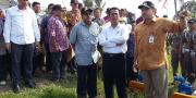 Bupati Tangerang damping Menteri Pertanian melihat langsung kekeringan   