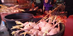 Harga Daging Ayam Tinggi, Pedagang di Tangerang Merugi   