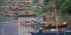 Tanah disisi Sungai Cisadane Tangerang Terkikis Parah