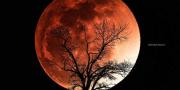 Bulan Darah, Apa Benar Kiamat Terjadi pada 28 September ini?