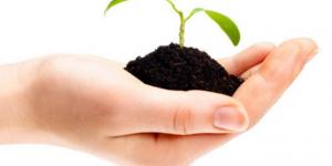 Cacatnya Tunas Bangsa