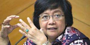 Kata Menteri LHK 'Reklamasi Pantura Jakarta harus Lihat Banten'