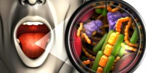 Ini Wabah Penyakit Baru yang Mengancam Indonesia