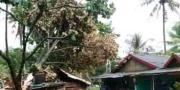 Angin Puting Beliung Rusak 35 rumah di Tangsel