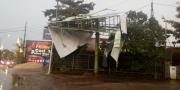Hujan Deras & Angin Puting Tumbangkan Puluhan Pohon di BSD Tangerang