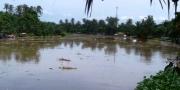 Hilir Sungai Cisadane Dibanjiri Sampah