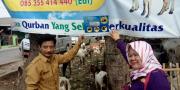 Petugas Temukan Hewan Tidak Layak Kurban di Tangerang
