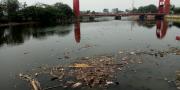 Debit Air Berkurang, Sungai Cisadane Kota Tangerang Dikepung Sampah
