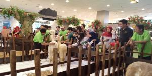 Meriahkan Natal, Tangcity Mall Hadirkan Edukasi Cinta Satwa 