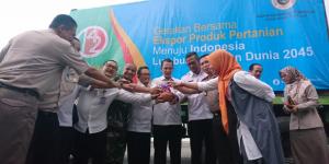 Kulit Tangkil & Lidi Asal Banten Bakal Diekspor ke Rusia