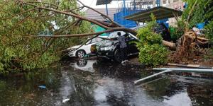 Hujan Deras Disertai Angin Kencang, Pohon-Billboard di Serang Roboh