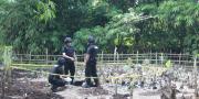 Warga Cisauk Temukan Mortir Militer di Lahan Kosong