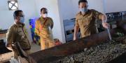 Tekan Volume Sampah, Pemkot Tangerang Budidaya Maggot