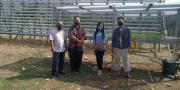 Bertahan Saat COVID-19, Mahasiswa Ajarkan Warga Bikin Hidroponik di Cipondoh