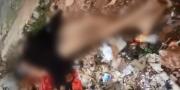 Maling Gagal Beraksi, Motor Tertinggal Sampai Dikeroyok Warga di Buaran
