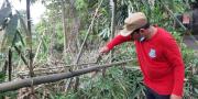 Tangani Fenomena Tanah Bergerak di Kali Pesanggrahan, Lurah Cirendeu Harap BBWSCC Turun 