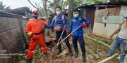 Ngeri Banget! Induk Kobra di WC Umum Mengintai Warga Rempoa Tangerang Selatan 