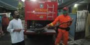 Evakuasi Ular Sanca di Pamulang, Petugas Damkar Tangsel Kewalahan Bongkar Atap Rumah