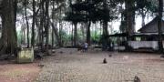 Hutan Monyet Solear, Tempat Wisata Murah Meriah di Kabupaten Tangerang
