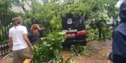 Hujan dan Angin Kencang, Dua Mobil Jenazah di Serpong Rusak Tertimpa Pohon