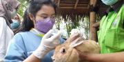 Hewan Peliharaan di Taman Tematik Kota Tangerang Diperiksa Kesehatan
