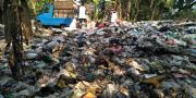 Diserbu Lalat Hijau & Bau Sampah, Warga Cendana Residence Tangsel Protes