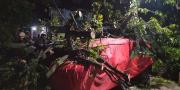 Pohon Tumbang di Kelapa Dua Tangerang Rusak Satu Mobil dan Lukai Warga