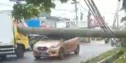 Hujan Angin, Dua Mobil Tertimpa Pohon Tumbang di Pamulang Tangsel