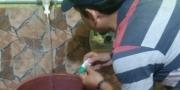 Belasan Warga di Kota Tangerang Terinfeksi Chikungunya