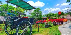 Agrowisata Bhumi Merapi, Wisata Edukasi Instagramable yang Ramah Keluarga