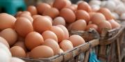 Harga Telur di Pasar Kabupaten Tangerang Masih Tinggi, Capai Rp30 Ribu Per Kg