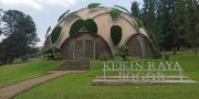 Tidak Pakai Ribet, Begini Rute ke Kebun Raya Bogor dari Tangerang