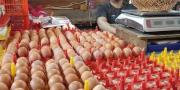 Harga Telur Ayam di Banten Naik, Tembus Rp32 Ribu Per Kg di Pasar Tangerang