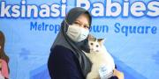 Pemilik Hewan Peliharaan Wajib Tahu, Begini Cara Vaksin Rabies Gratis di Kota Tangerang