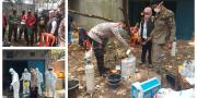 Ribuan Bangkai Kelelawar di Gudang Rajeg Tangerang Negatif Flu Burung dan Rabies