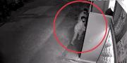 Terekam CCTV, Kawanan Curanmor Beraksi di Perumahan Sudirman Tigaraksa