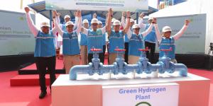 Ada 21 Green Hydrogen Plant di Indonesia, Ini Daftarnya