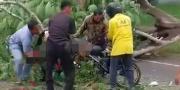 Pemotor Tewas Tertimpa Pohon Tumbang di Kawasan Perumahan Lippo Karawaci Tangerang 