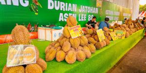 Obati Kangen Penggemar Durian, Rame-rame Belah Duren Kembali Hadir di Tangcity Mal