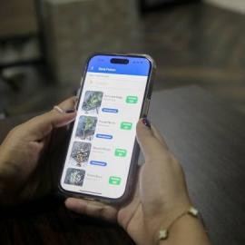 Butuh Bibit Pohon? Bisa Pesan Lewat Bank Pohon di Aplikasi Super Apps Tangerang, Gratis