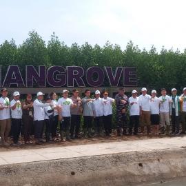 Wapres Gibran Amanatkan Rehabilitasi 750 Ribu Hektare Mangrove Beralih Fungsi, Pemerintah Cari Dana