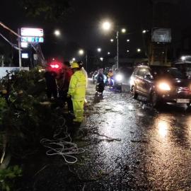 Tangerang Dihantam Badai, Pohon Tumbang dan Banjir Lumpuhkan Sejumlah Wilayah